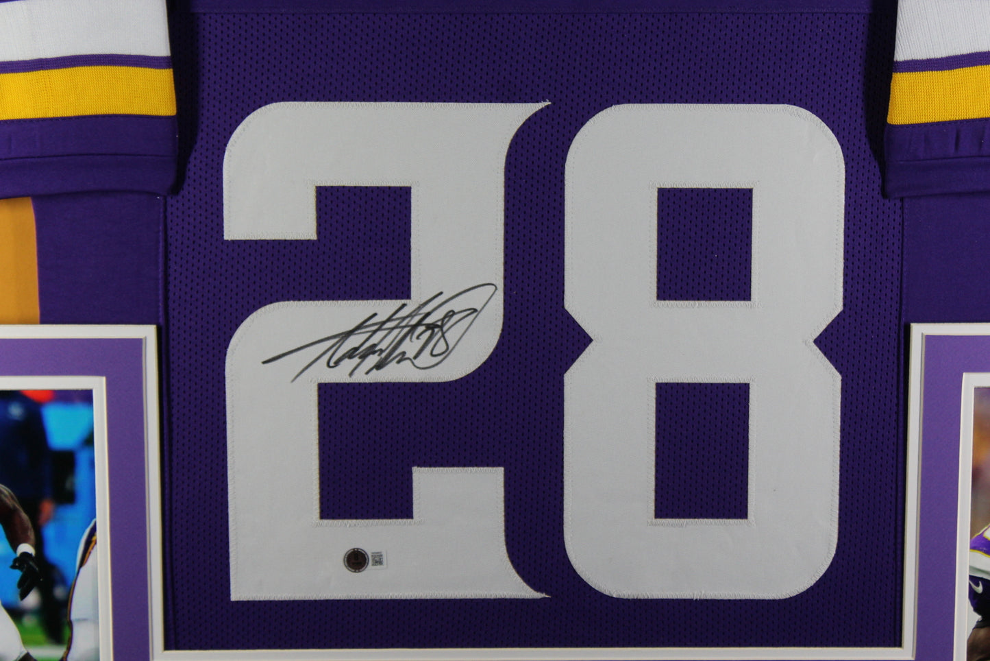 Adrian Peterson Autographed Framed Pro Style Custom Purple Jersey