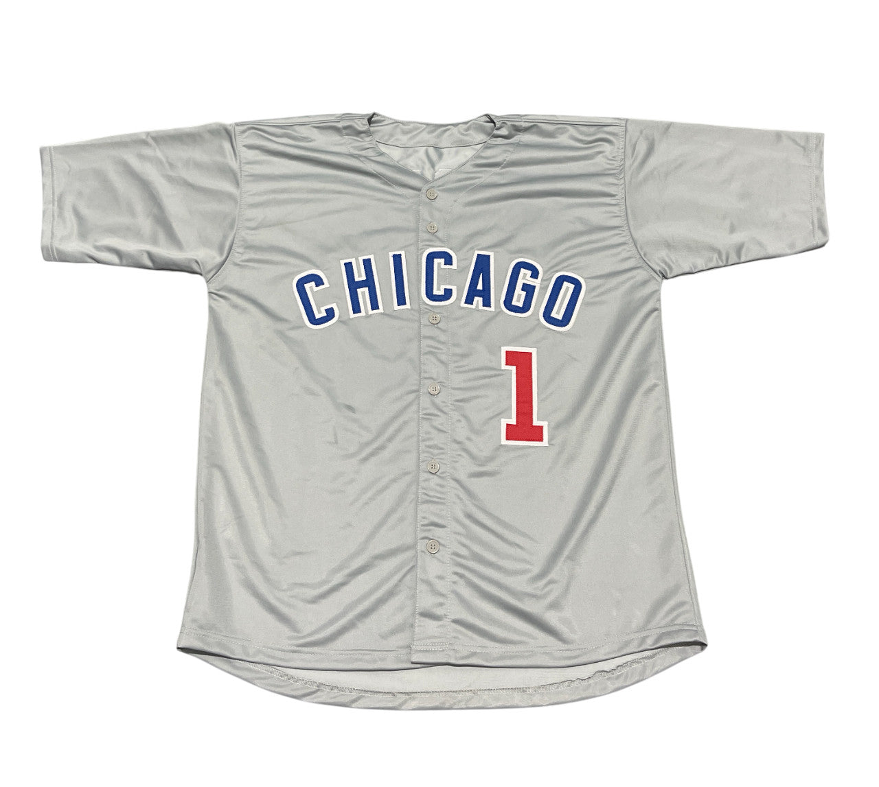 Thomas Ian Nicholas Signed Custom Jersey (Rowengartner Inscription)