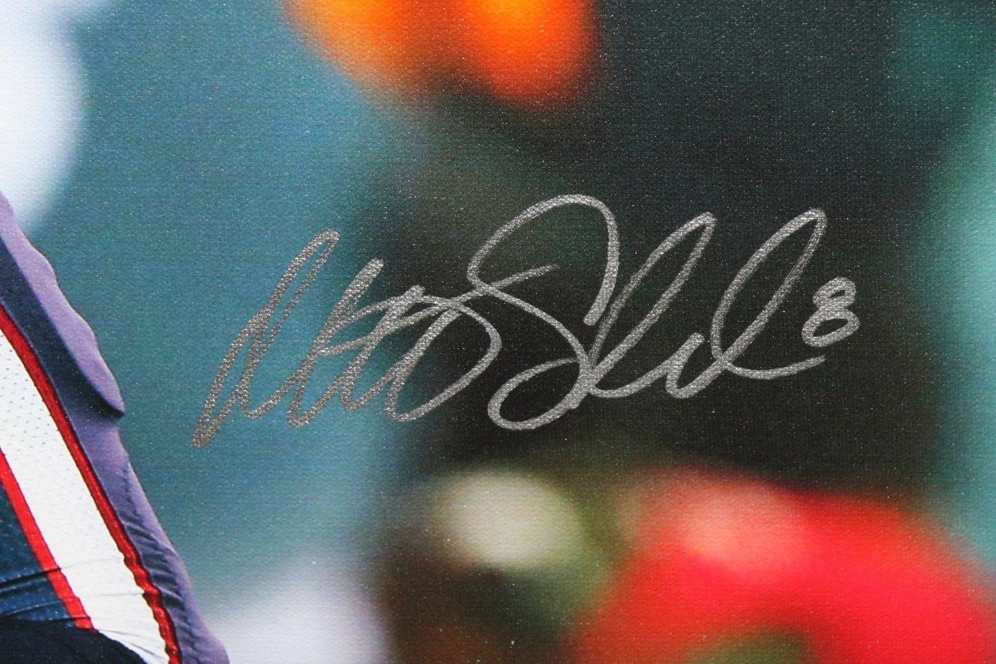 Arian Foster & Matt Schaub Autographed Houston Texans 20x24 Canvas
