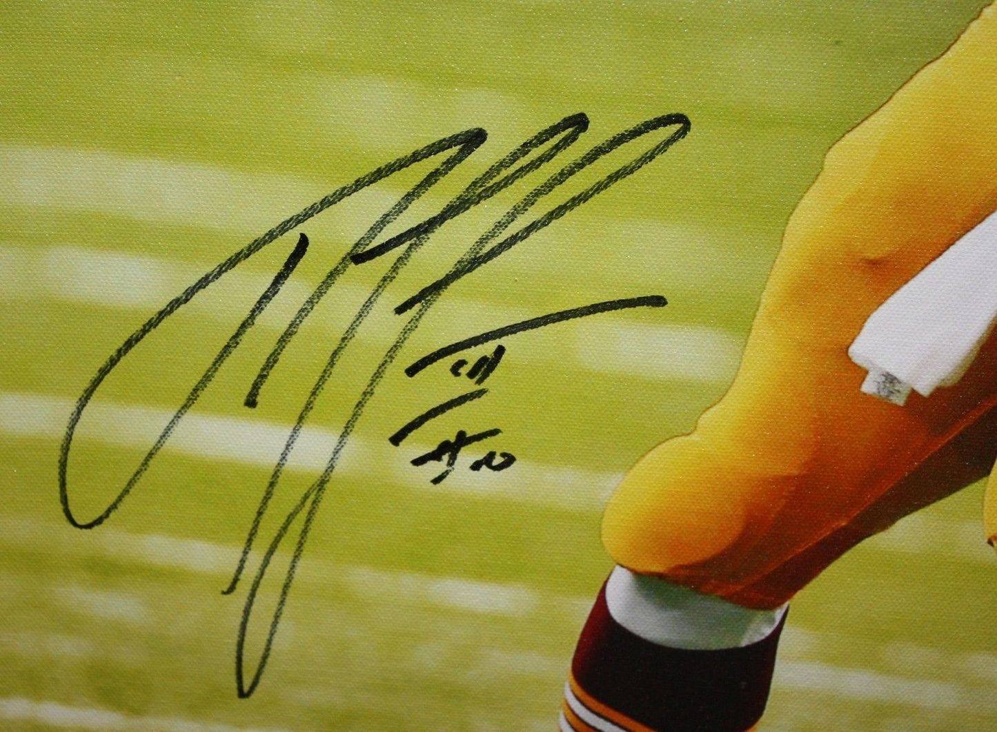 Robert Griffin III Signed Washington 20x24 "Looking To Pass" Canvas