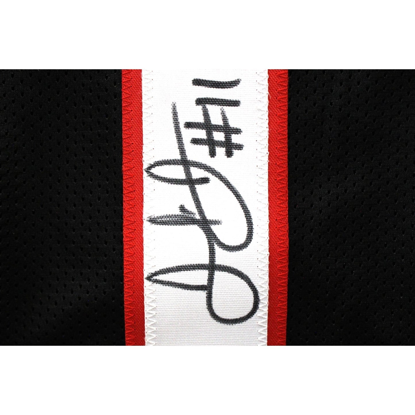 Julio Jones Autographed Pro Style Custom Football Jersey