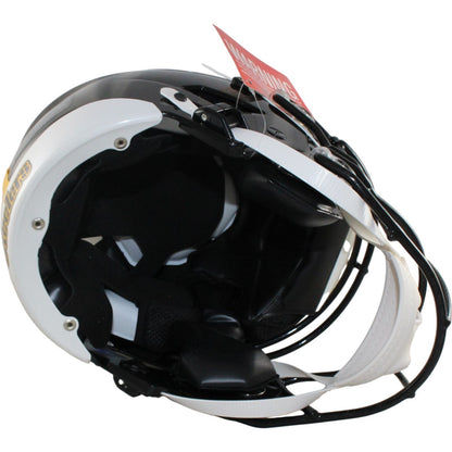 Troy Polamalu Pittsburgh Steelers Authentic SpeedFlex Full Size Helmet