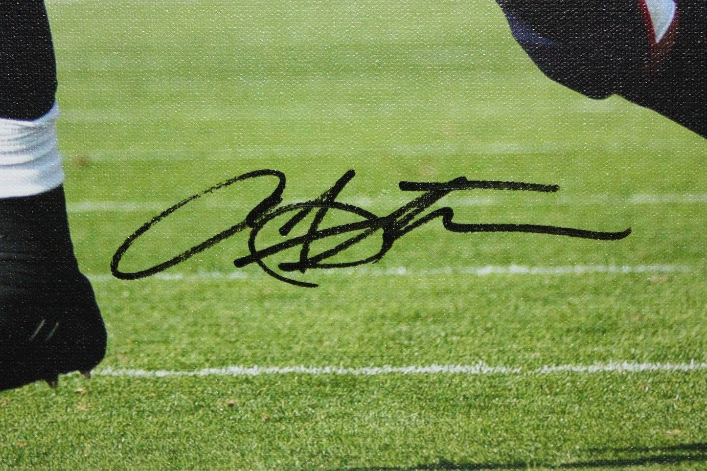 Arian Foster Autographed Houston Texans 20x24 Canvas
