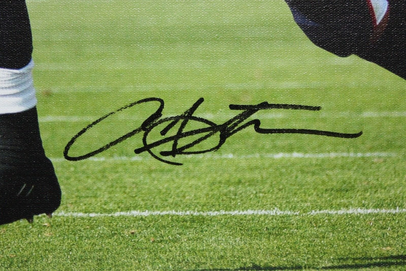 Arian Foster Autographed Houston Texans 20x24 Canvas