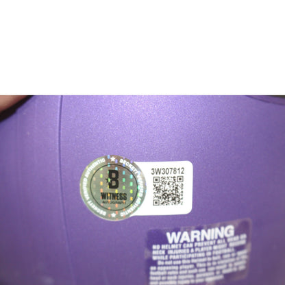 Jared Allen Minnesota Vikings Autographed VSR4 Mini Helmet HOF Inscribed