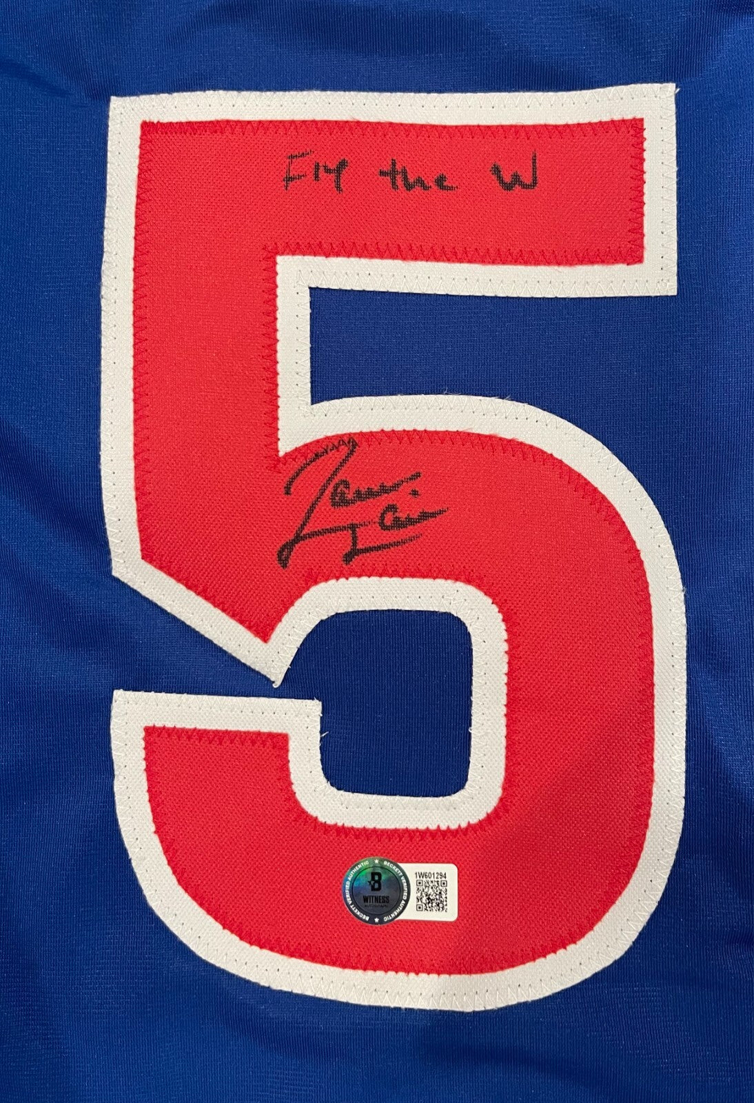 Jameson Taillon Chicago Cubs Signed Custom Jersey (Fly The W)