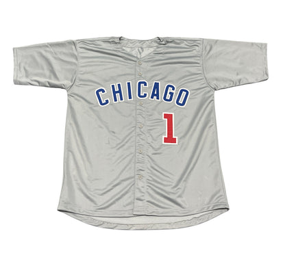 Thomas Ian Nicholas Signed Custom Jersey (Rowengartner Inscription)