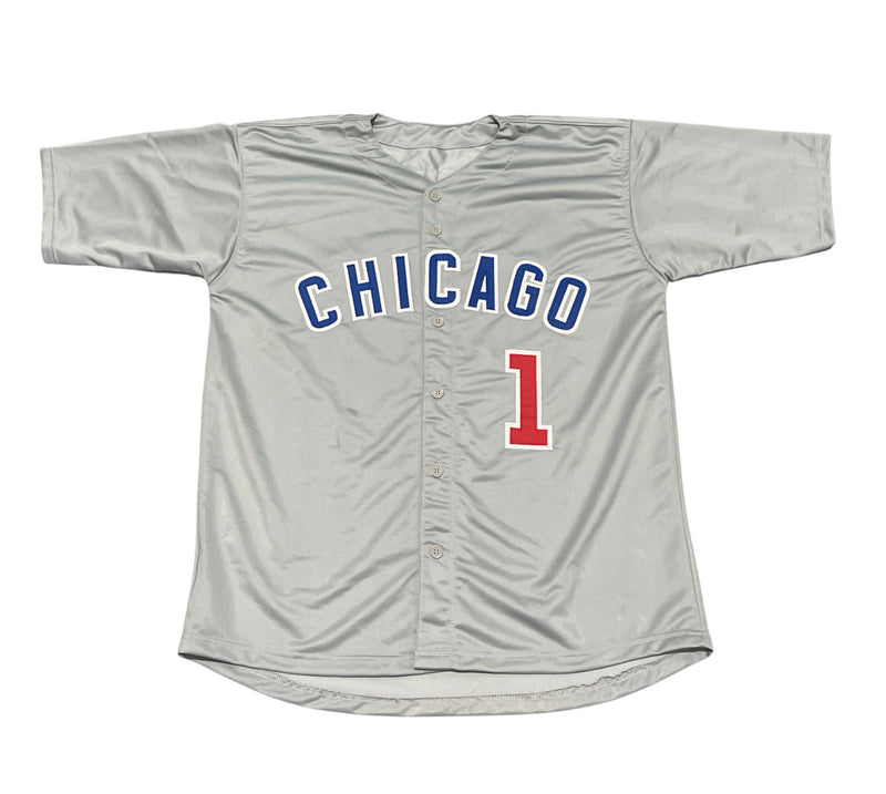 Thomas Ian Nicholas Signed Custom Jersey (Rowengartner Inscription)