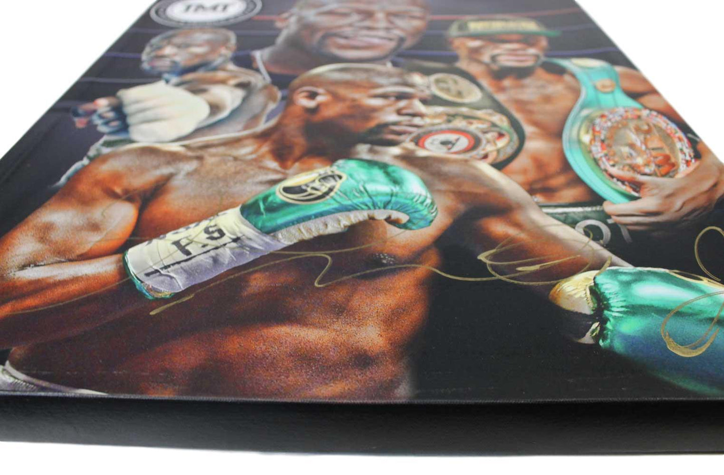 Floyd Mayweather Autographed Boxing 20"x24" Canvas