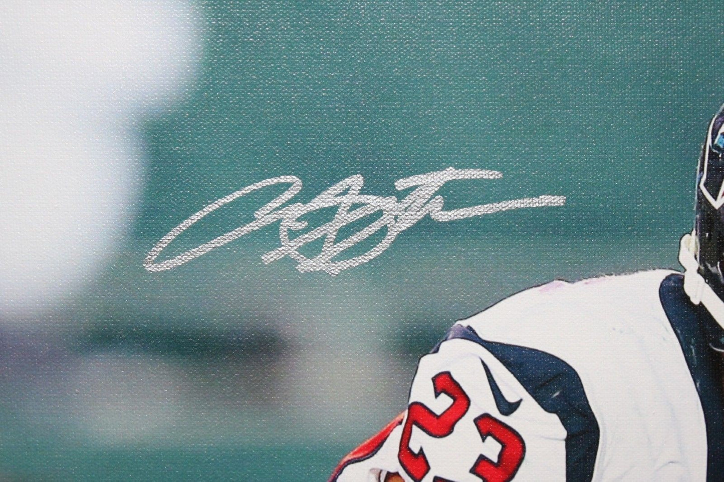Arian Foster & Matt Schaub Autographed Houston Texans 20x24 Canvas