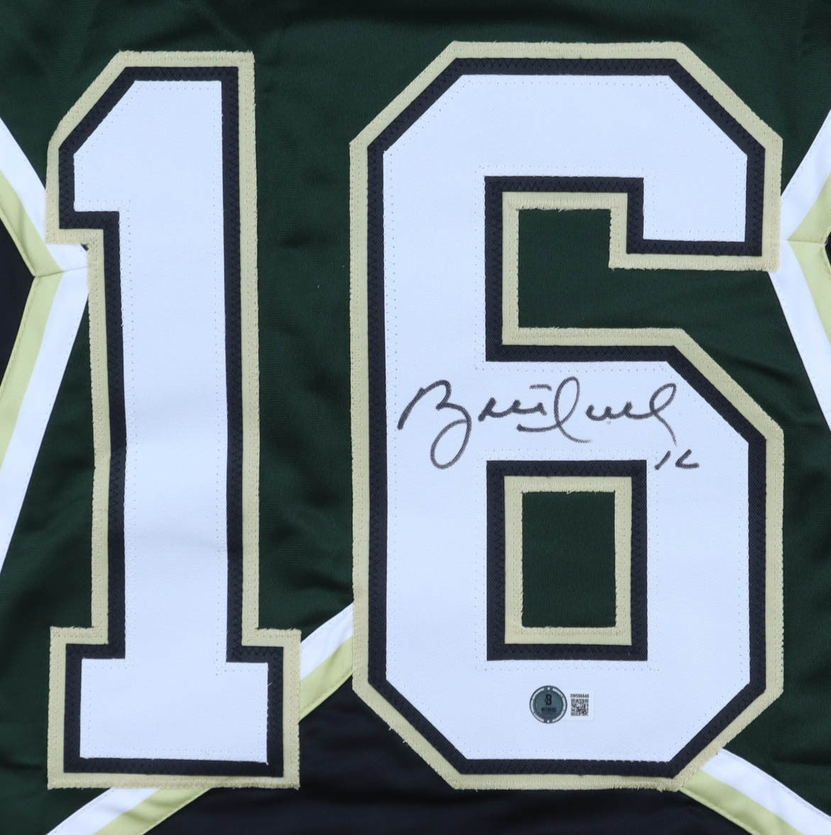 Brett Hull Signed Dallas Stars Custom Stitched Jersey Beckett COA