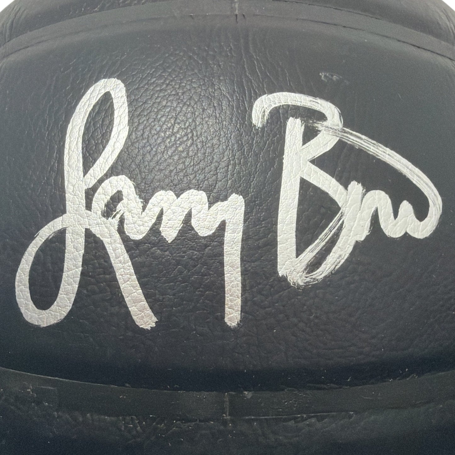 Larry Bird Autographed Boston Celtics Premier Black Basketball