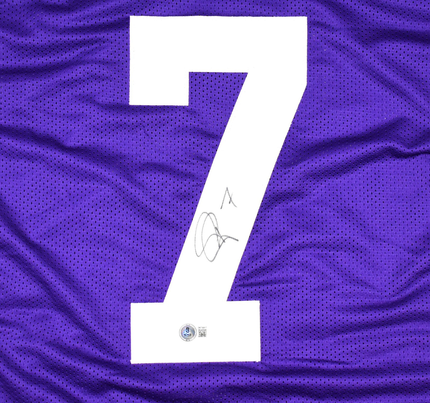 Patrick Peterson Autographed LSU Style Purple Jersey