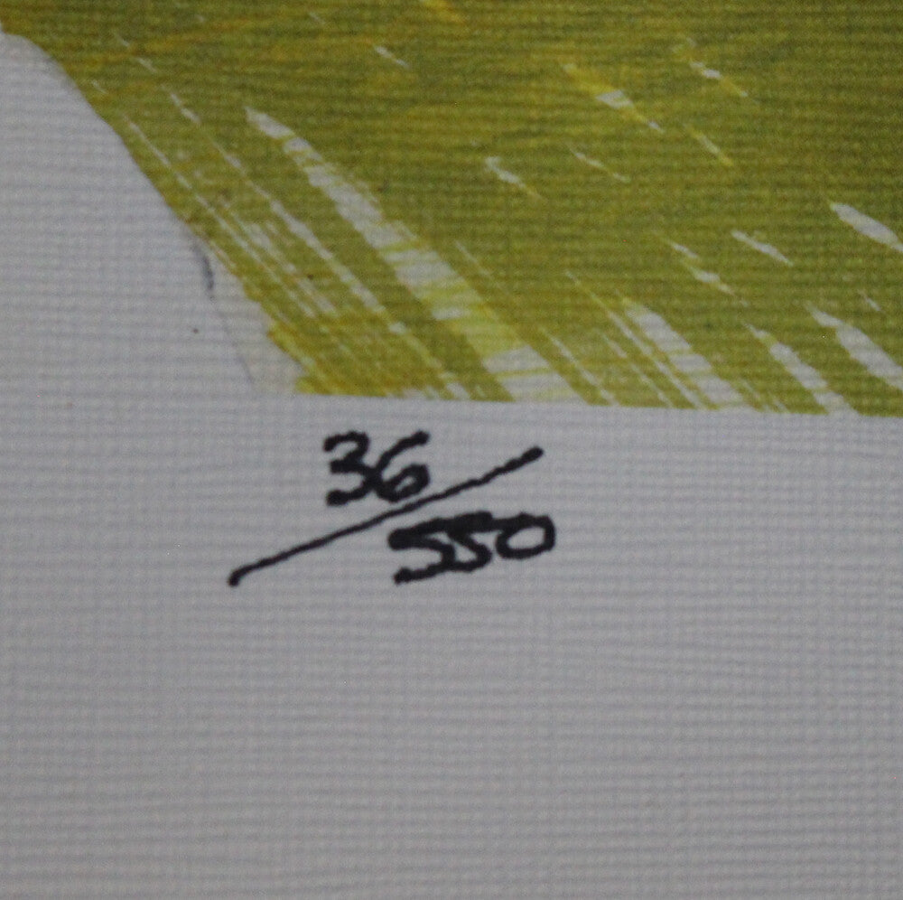 Dan Dierdorf Signed Arizona Cardinals Hall of Fame 24x36 Limited Edition Print
