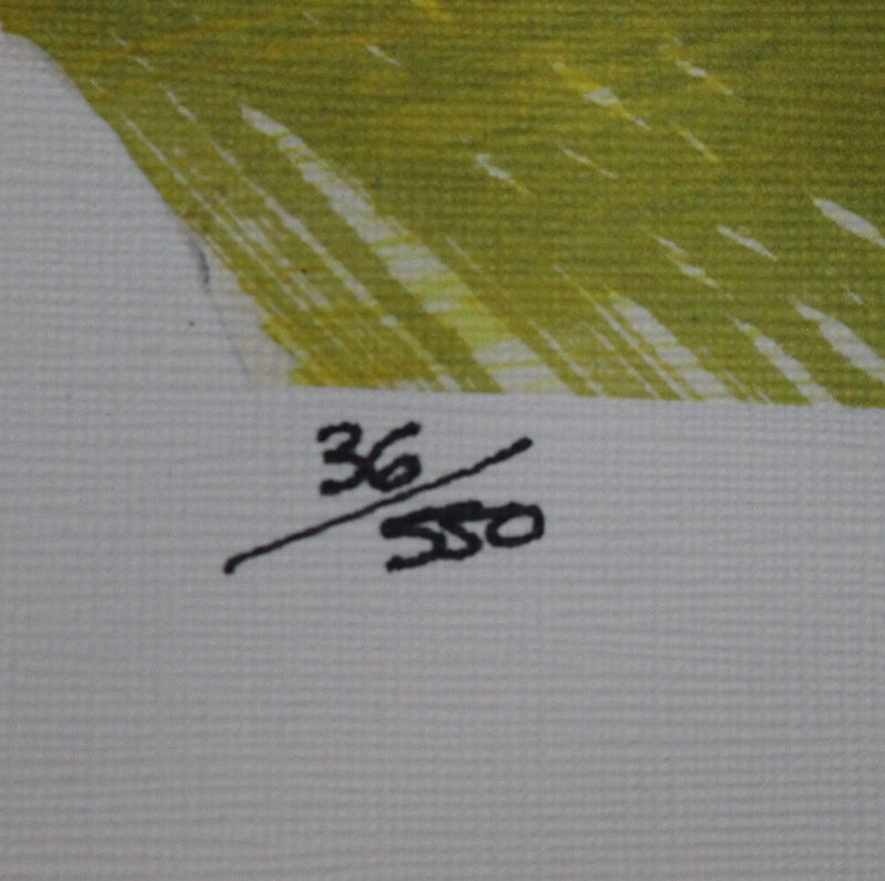 Dan Dierdorf Signed Arizona Cardinals Hall of Fame 24x36 Limited Edition Print