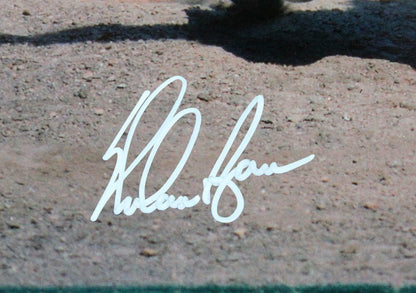Nolan Ryan Signed Houston Astros 16x20 Photo Pitching View