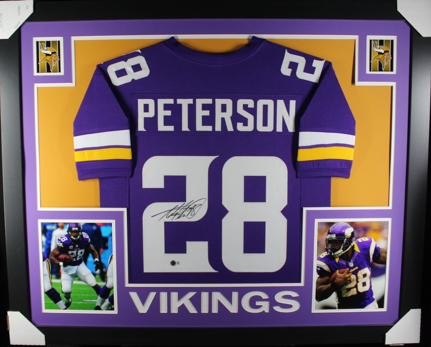 Adrian Peterson Autographed Framed Pro Style Custom Purple Jersey