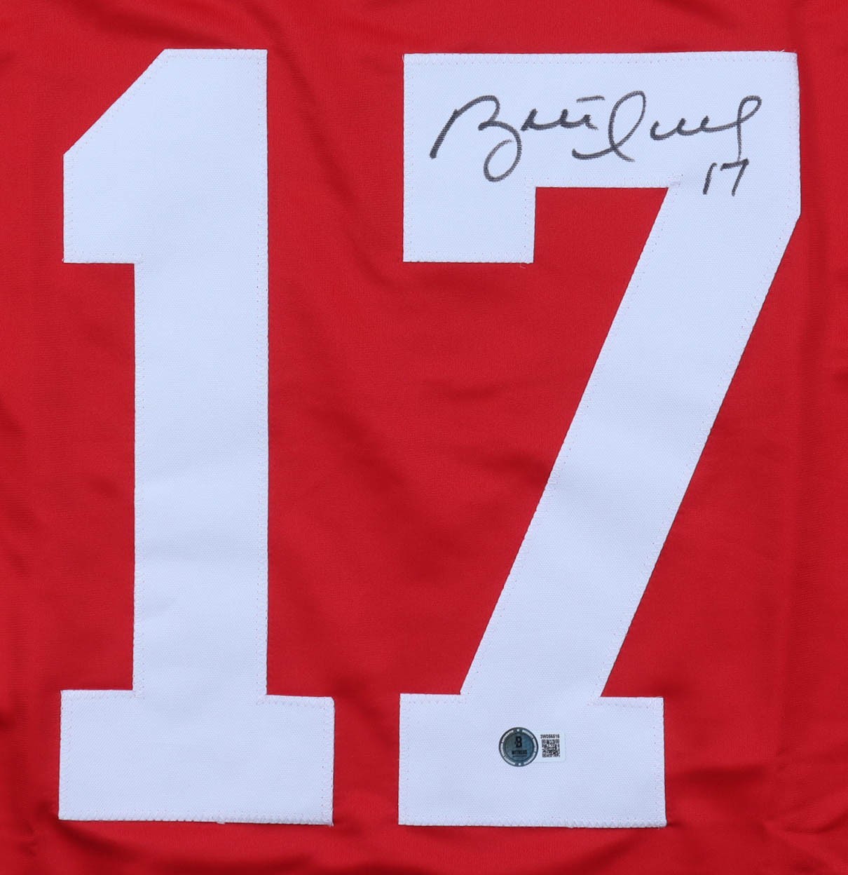 Brett Hull Signed Detroit Red Wings Custom Jersey (Beckett)