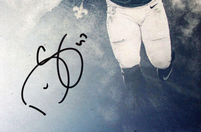 Darren Sproles Signed 16x20 Collage Photo