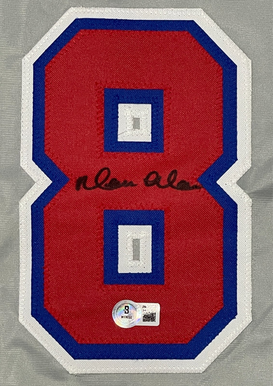 Moises Alou Signed Montreal Expos Custom Baseball Jersey