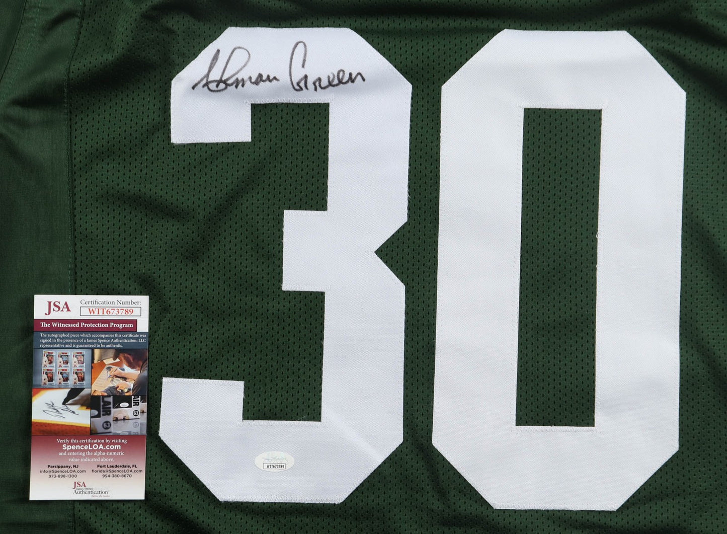 Ahman Green Autographed Green Bay Packers Custom Jersey