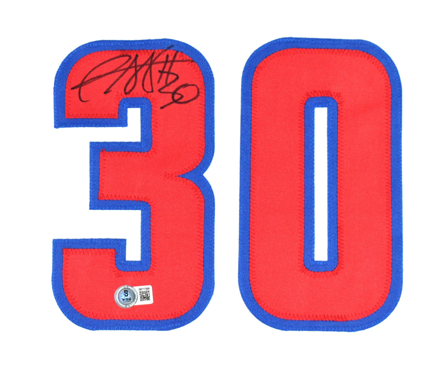 Rasheed Wallace Autographed White Custom Jersey