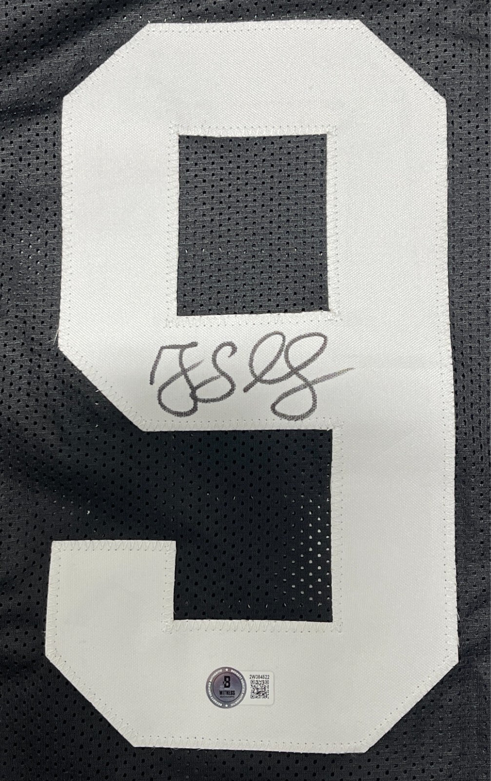 Greg Lloyd Signed Pittsburgh Steelers Custom Jersey