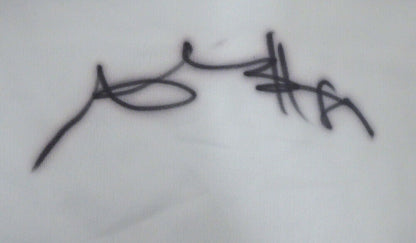 Antonio Brown Pittsburgh Steelers Signed White Nike Jersey Size XL 126636 (BAS COA)